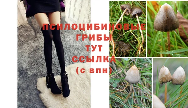 гашишное масло Балахна